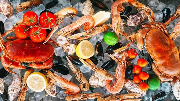 Где купить вкусные и полезные морепродукты | recepti-gotovit.ru